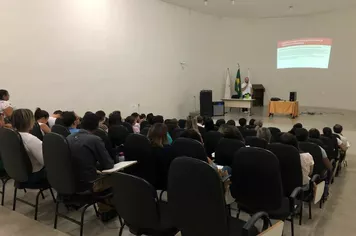 Dengue em Pauta