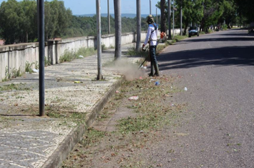 Frente de Trabalho intensifica limpeza em vários pontos da cidade