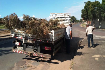 HUMBERTO MALLARD RECEBE LIMPEZA