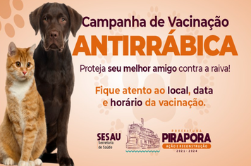 VACINAÇÃO ANTIRRÁBICA