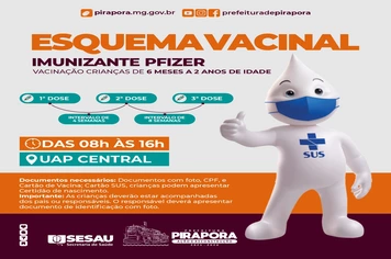 Vacinação das crianças de 6 meses a 2 anos de idade