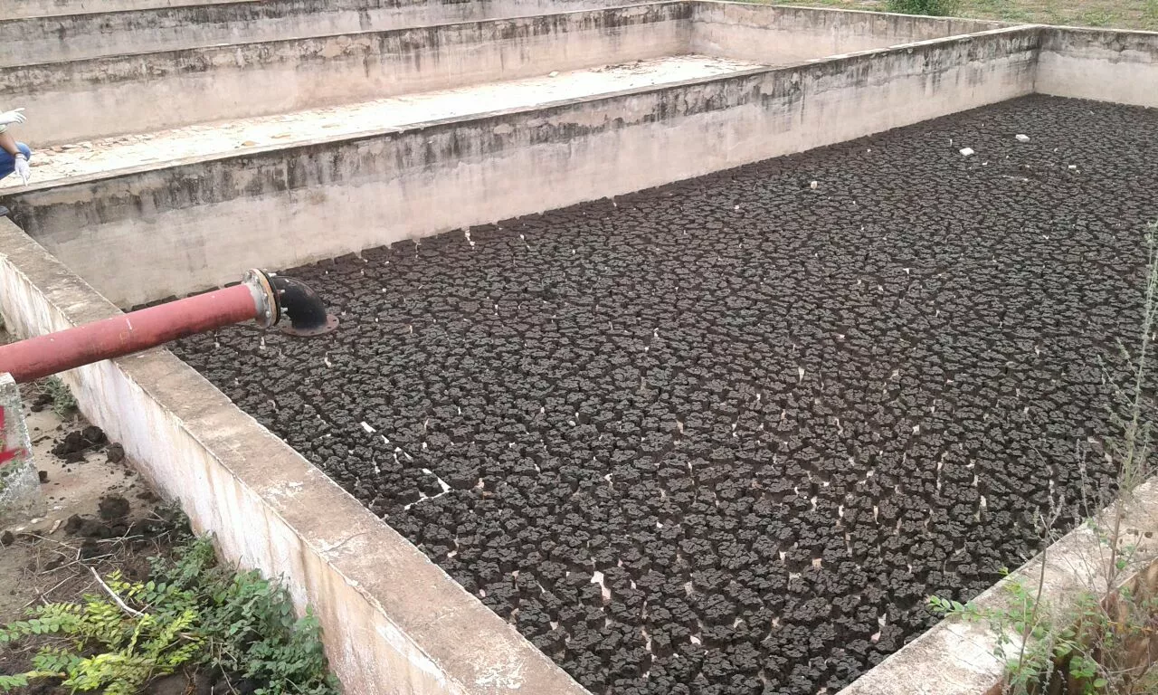 O potencial do lodo gerado na ETE para a agricultura