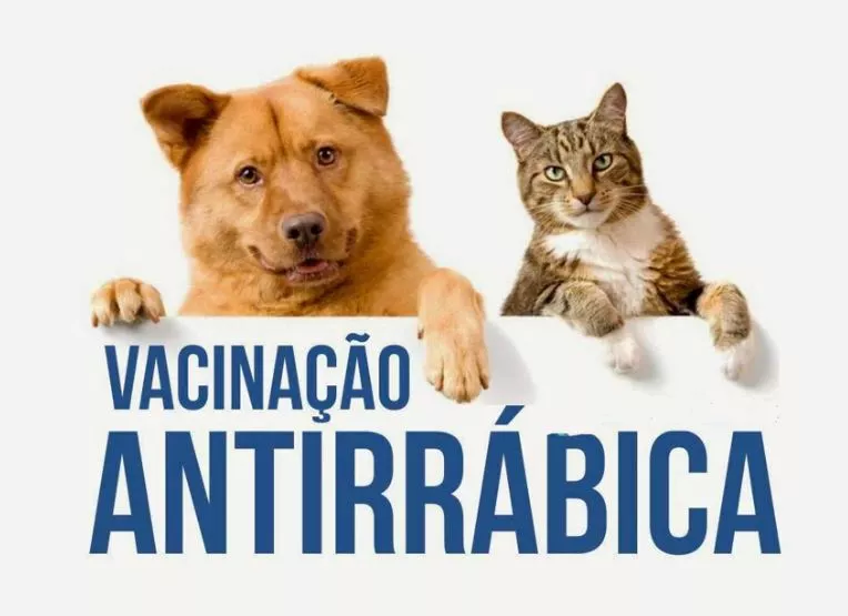 Vacinação antirrábica em todo município