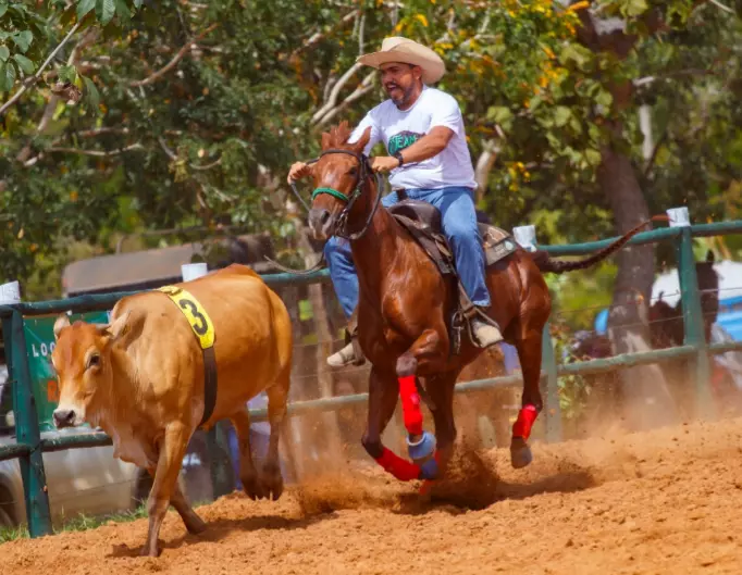 Com competidores de toda região, 3º Team Penning distribuiu 30 mil reais em prêmios