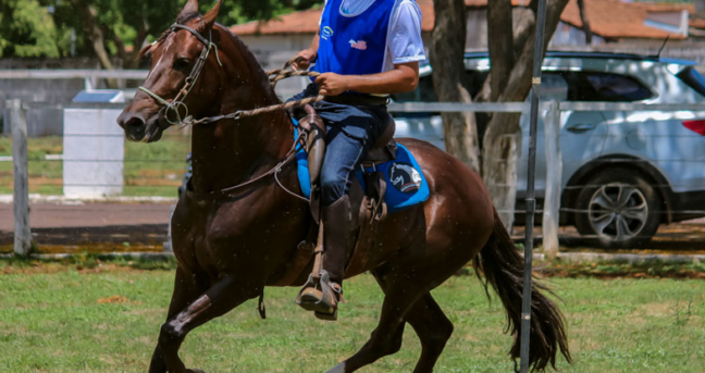 Com apoio da Prefeitura de Pirapora, 1ª Copa de Marcha de cavalos mangalarga será uma das atrações do final de semana