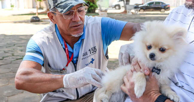 Campanha de Vacinação Antirrábica Animal