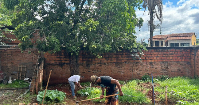 FRUTOS DO TRABALHO EM EQUIPE